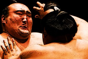 sumoPol