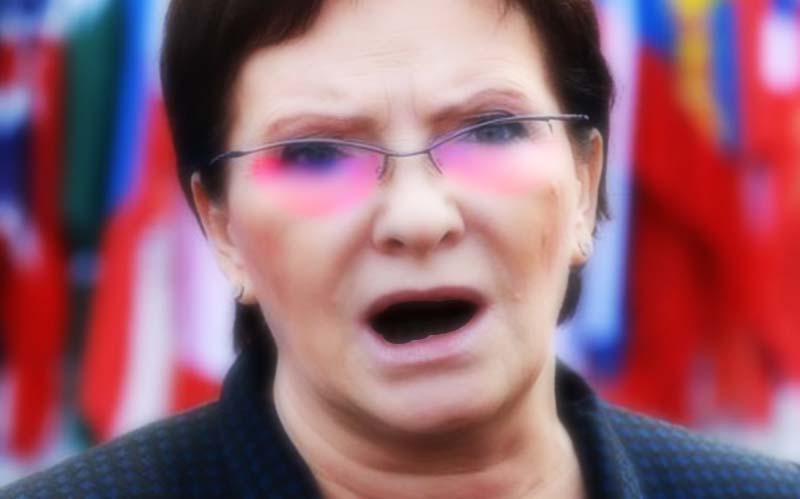 Kopacz prowokuje kibiców