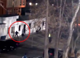 Levski Sofia Hooligans