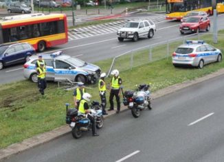 Psy nie umią kErować:-)