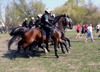 Policja zepsuła imprezę w lesie!